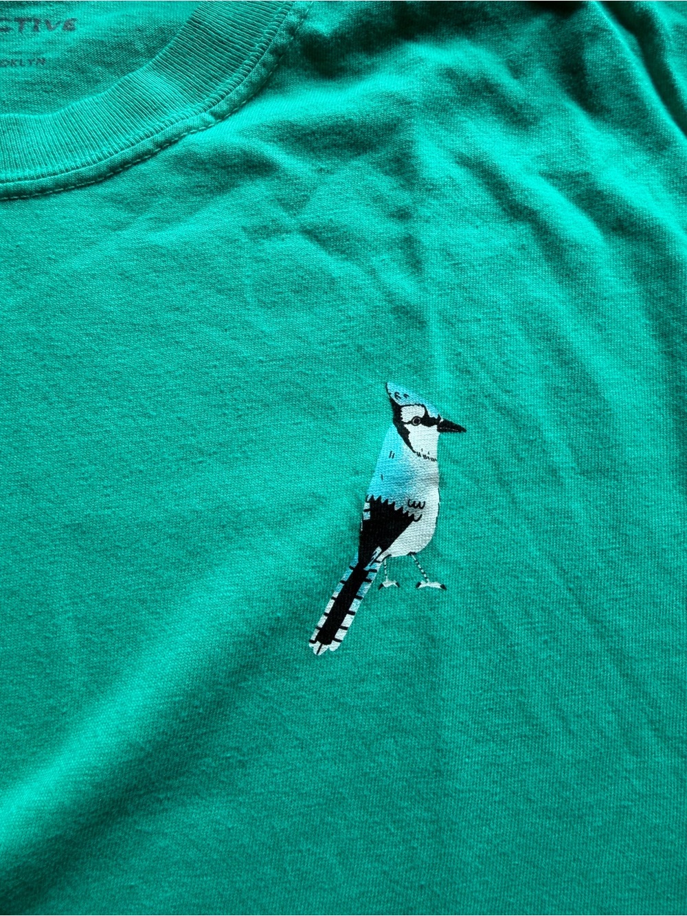 Bird Collective Backyard Birds East Tee - Picture 2 of 4